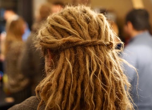 Free stock photo of back view, dreadlocks, people