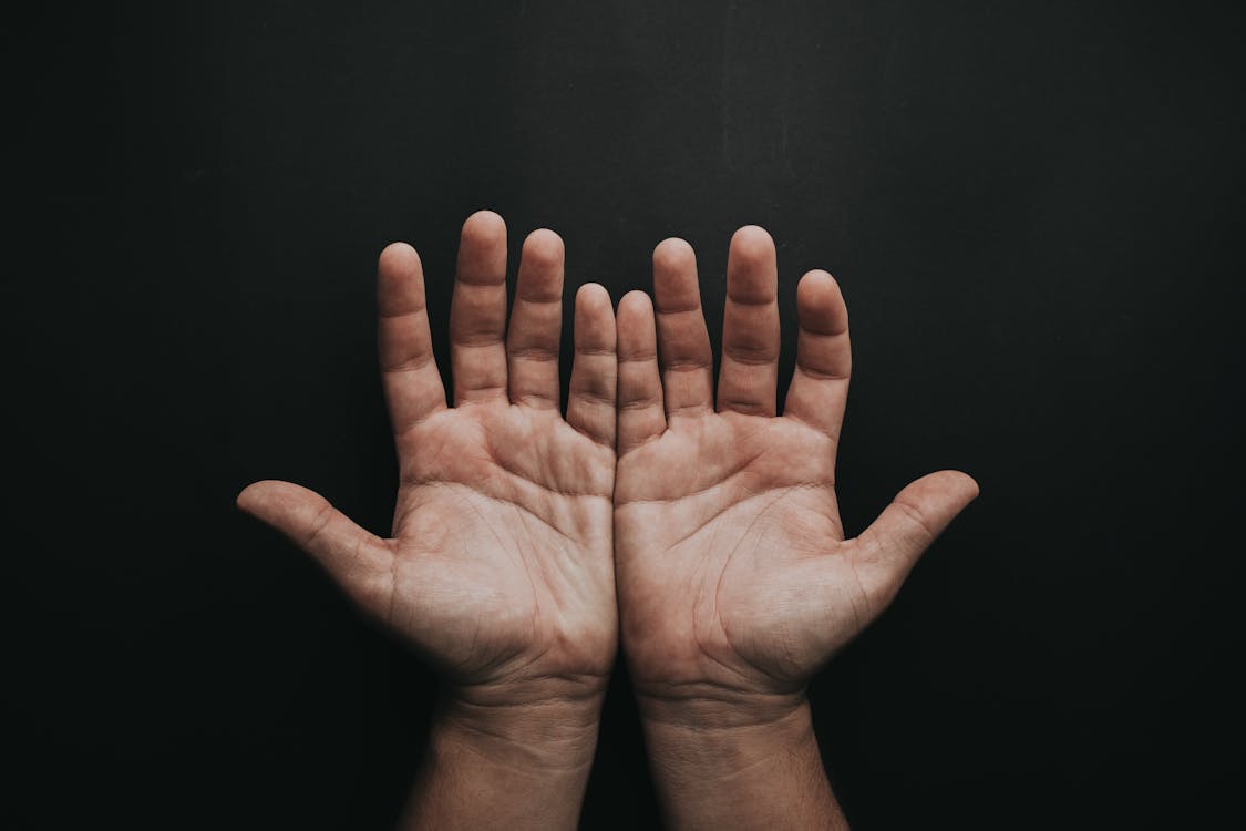 Фотография открытых рук человека