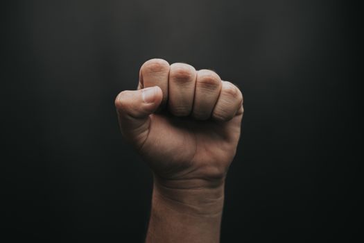 Left Human Hand