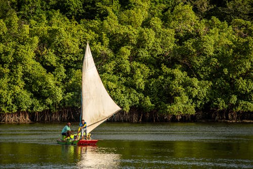 Free Men in Red and Green Sailboat Stock Photo