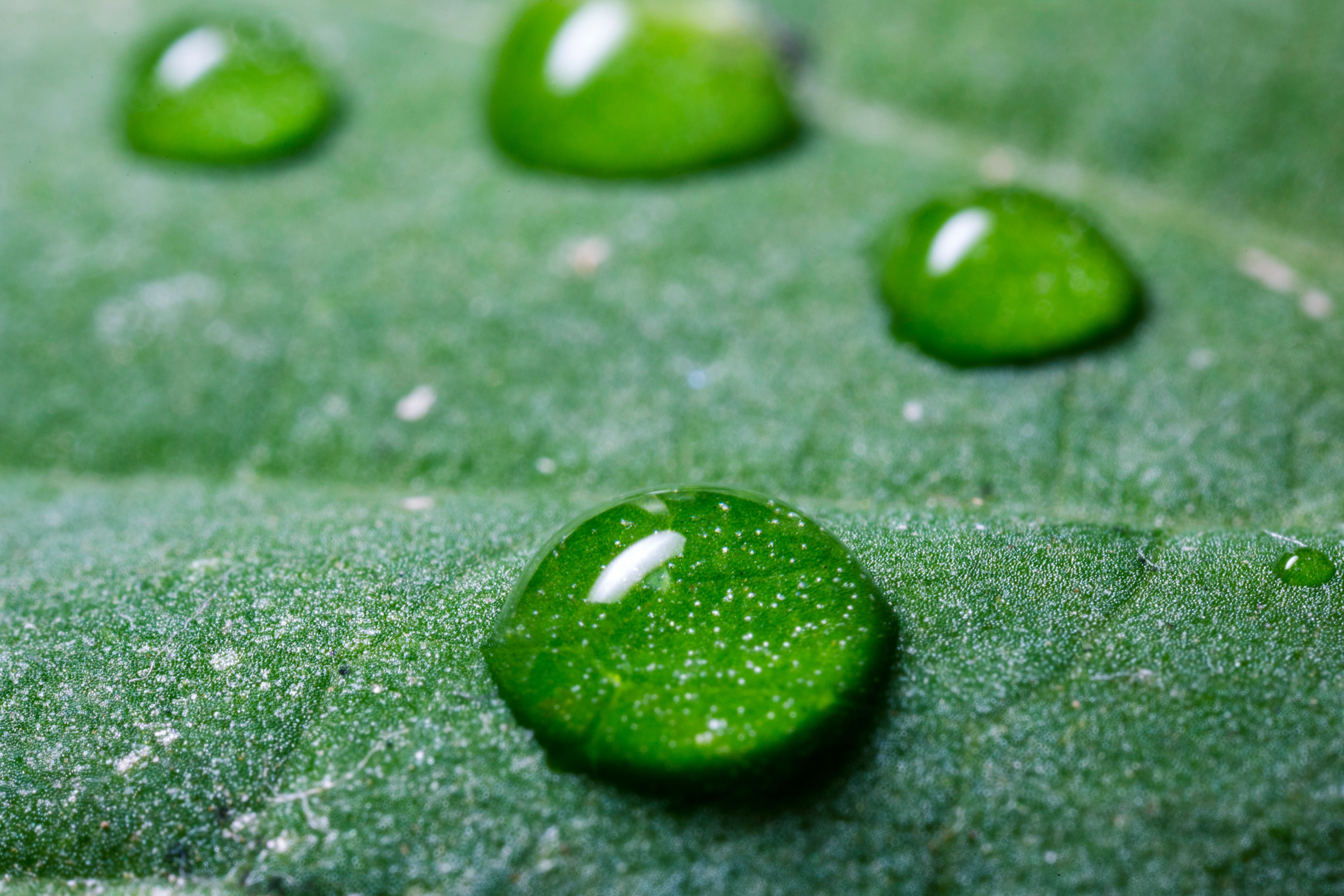 Sustainability of green hydrogen technologies depends on energy mix and supply chain — Photo by Jimmy Chan on Pexels