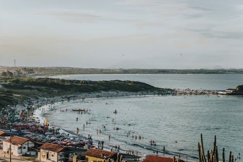 Aerial View of Coastal Area