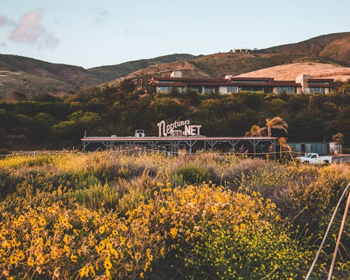 Imagine de stoc gratuită din faleză, filme, malibu