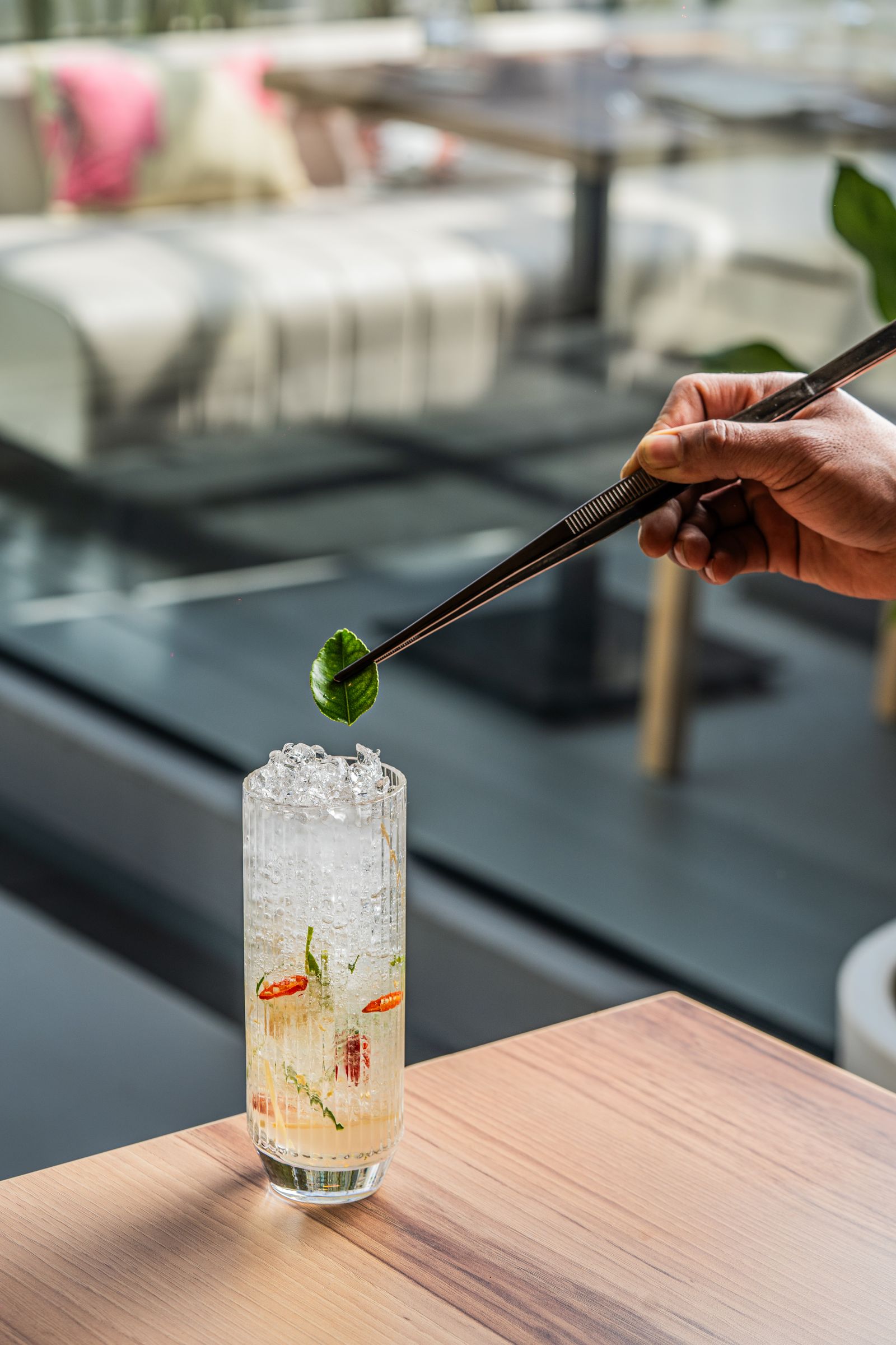 Cocktail Bartender Photos, Download The BEST