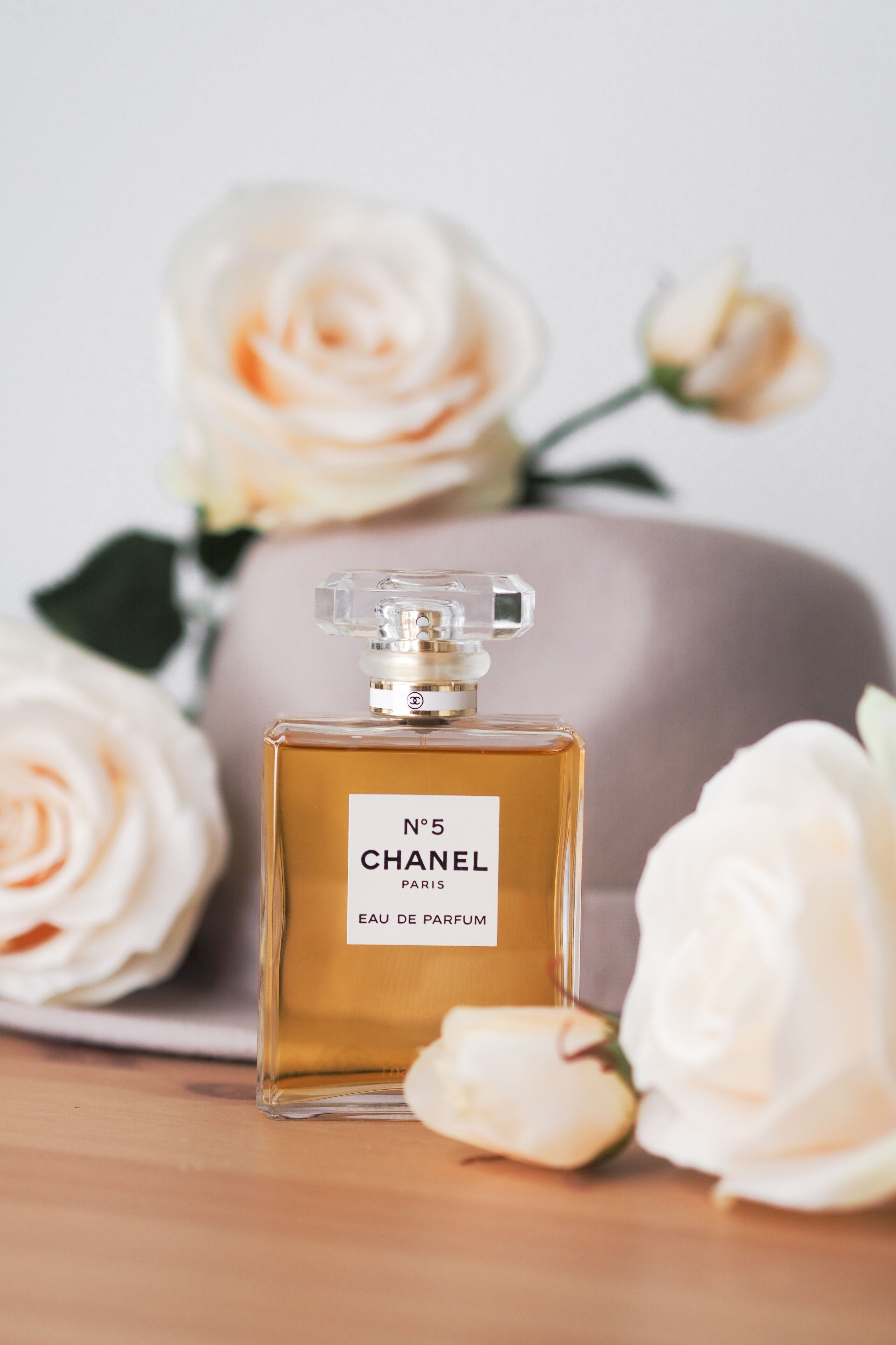 Vial of Perfume and Roses around · Free Stock Photo