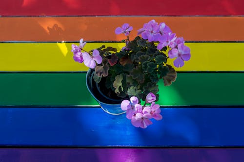 A rainbow colored table with a flower pot on it