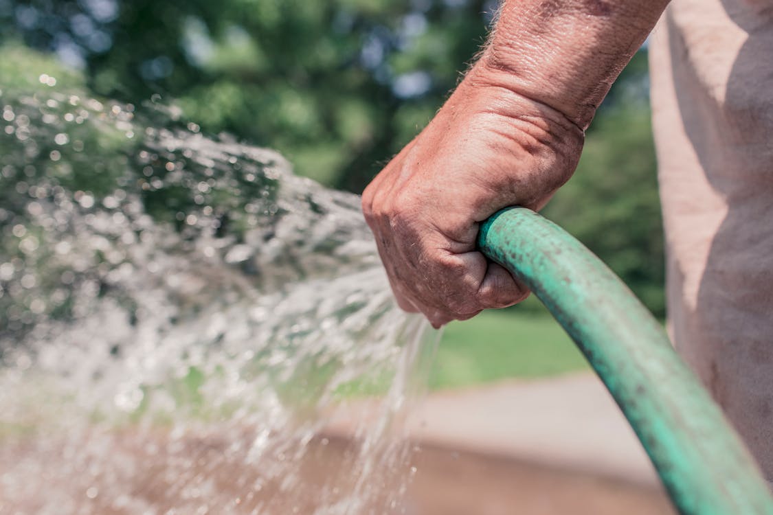 Person Holding Green Hose