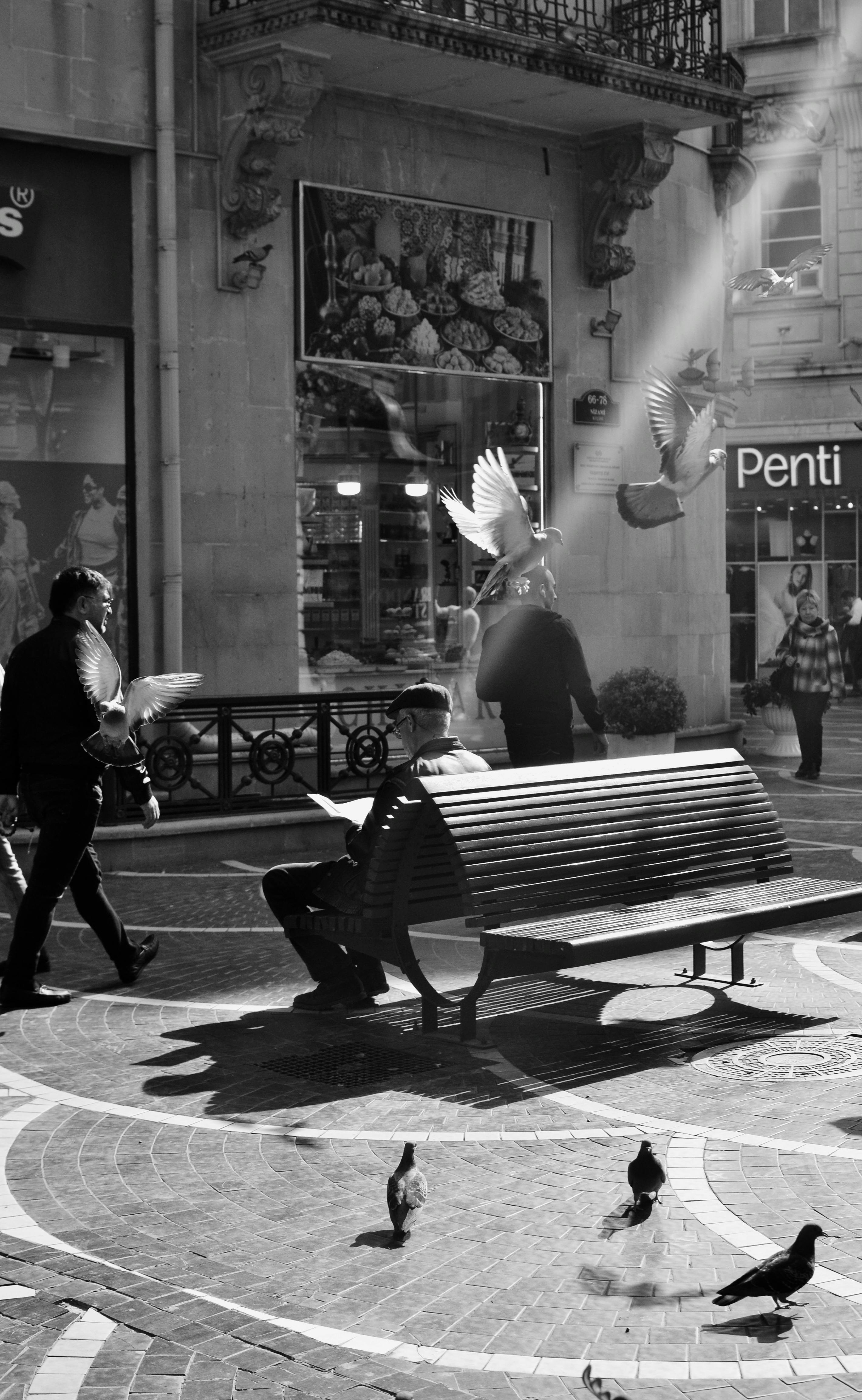 A monochrome city street scene with pigeons in flight and people walking.