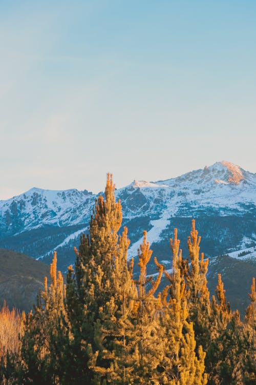 Imagine de stoc gratuită din aparat foto, apus, Argentina