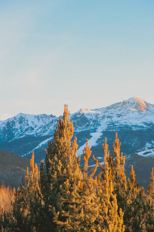Free Sunset view of snowcapped Andes mountains and conifer trees in Bariloche, Argentina. Stock Photo