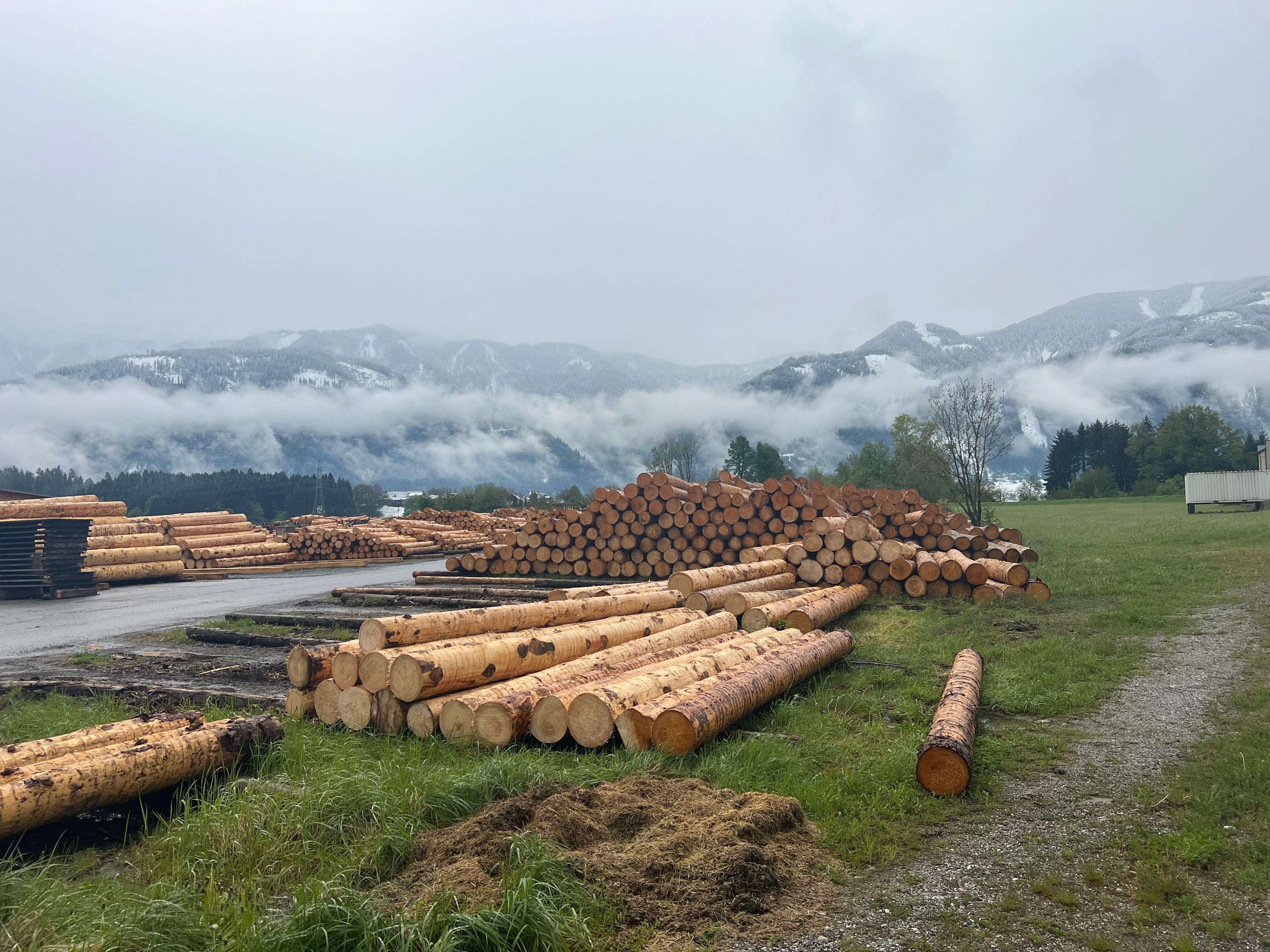 Scenic Austrian countryside view with stacked logs and misty mountains in fall.