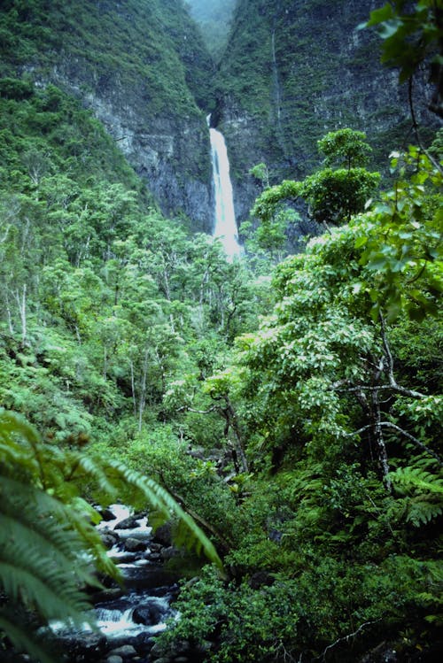 Hanakapiai falls