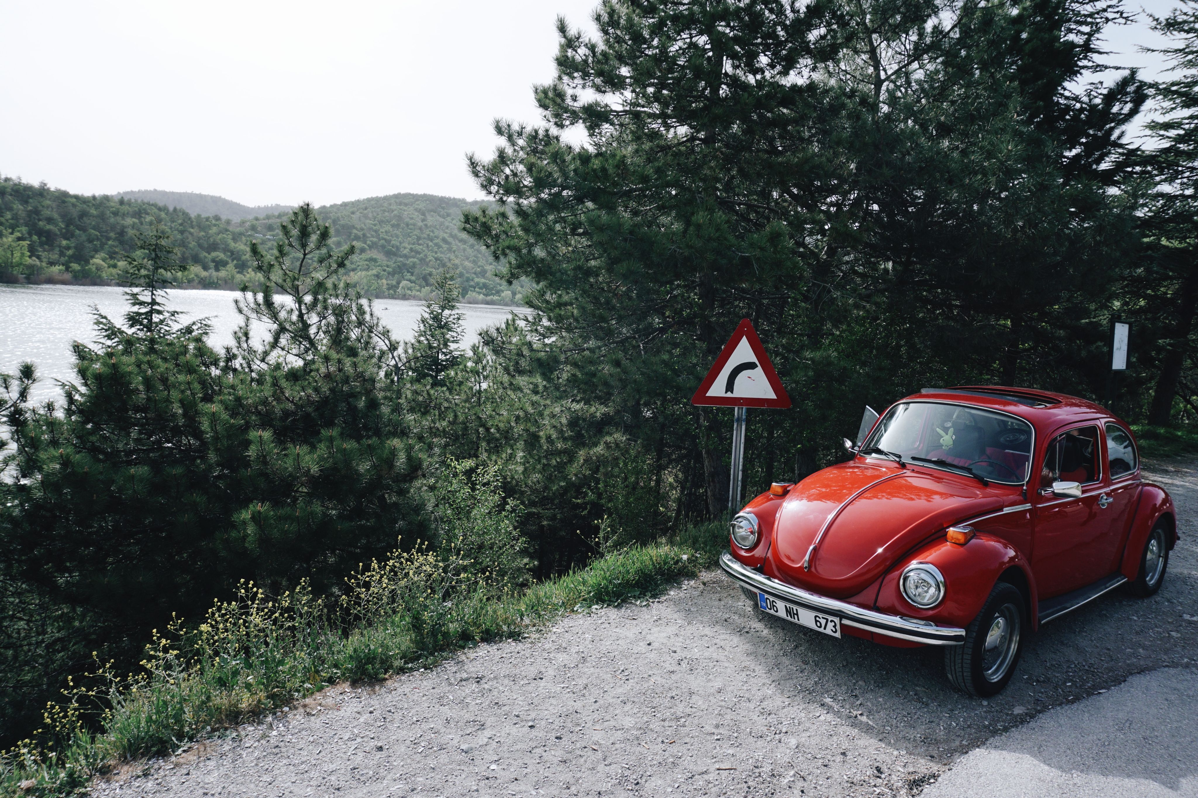 OCTO and Volkswagen Group Info Services AG Form Partnership for Fleet Data Integration — Photo by Yana Kangal on Pexels