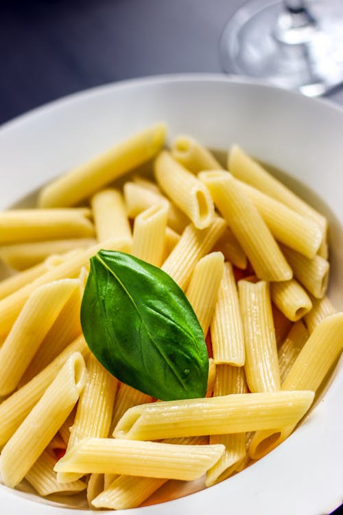 Free Bowl of Penne Pasta Stock Photo