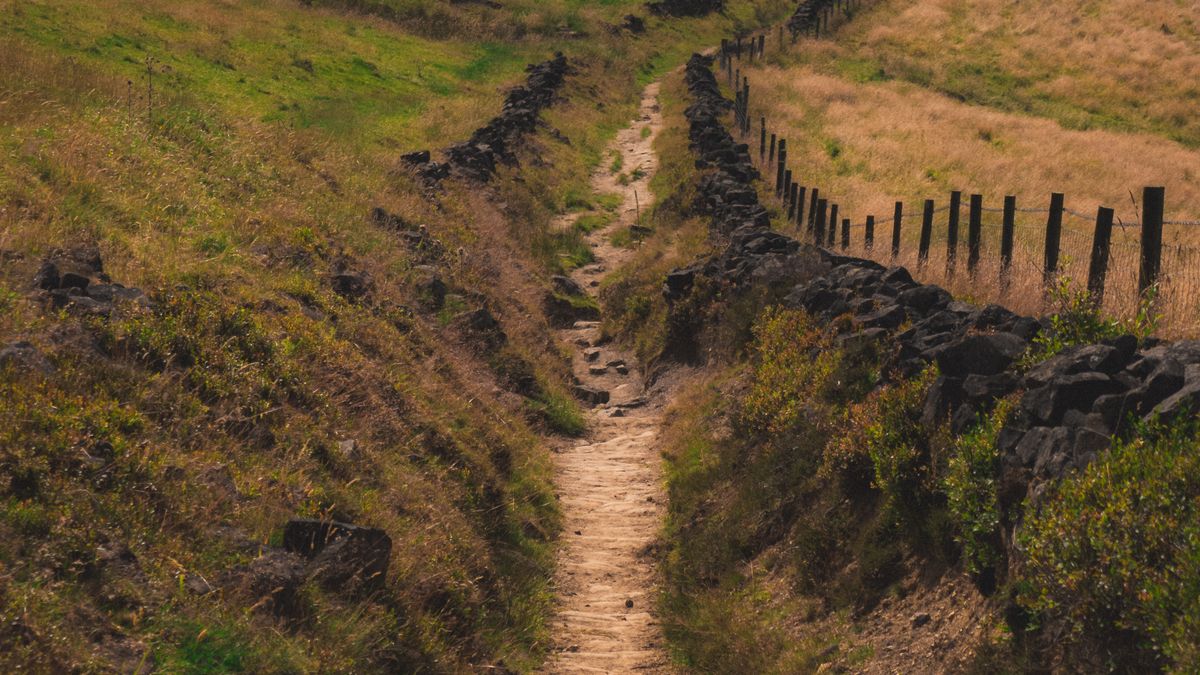 A worn footpath running beside a dry-stone wall across hilly fields