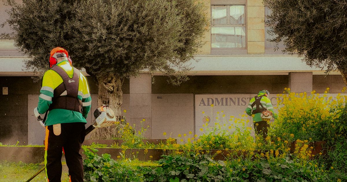 Precios de jardinería y poda