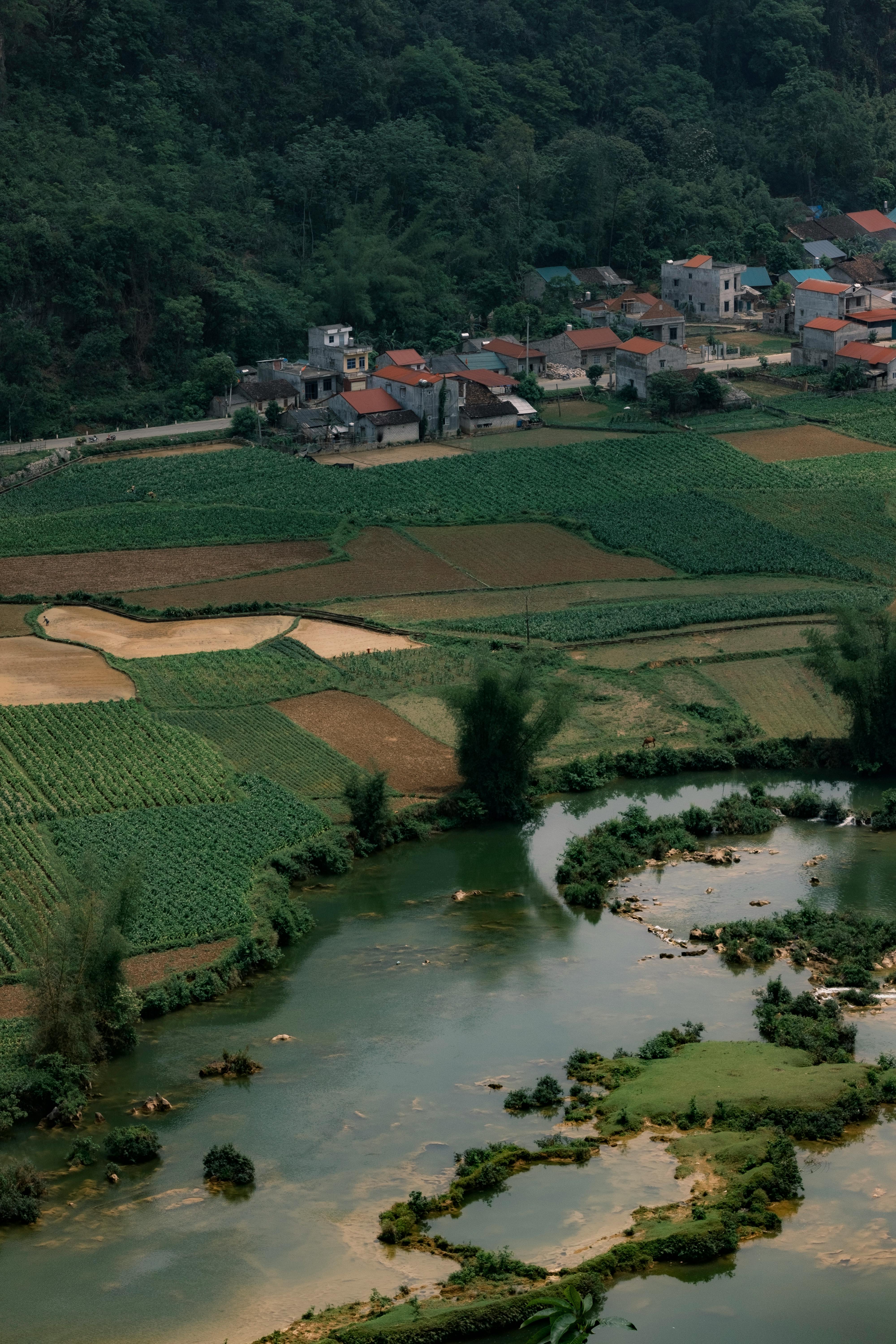 A serene aerial view of a village in Cao Bằng, Vietnam featuring lush fields and winding rivers.