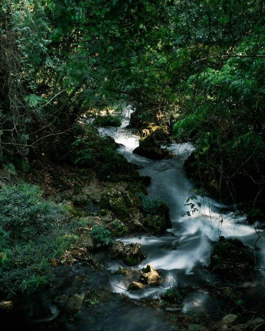 A serene waterfall in the lush forests of Cao Bằng, Vietnam.