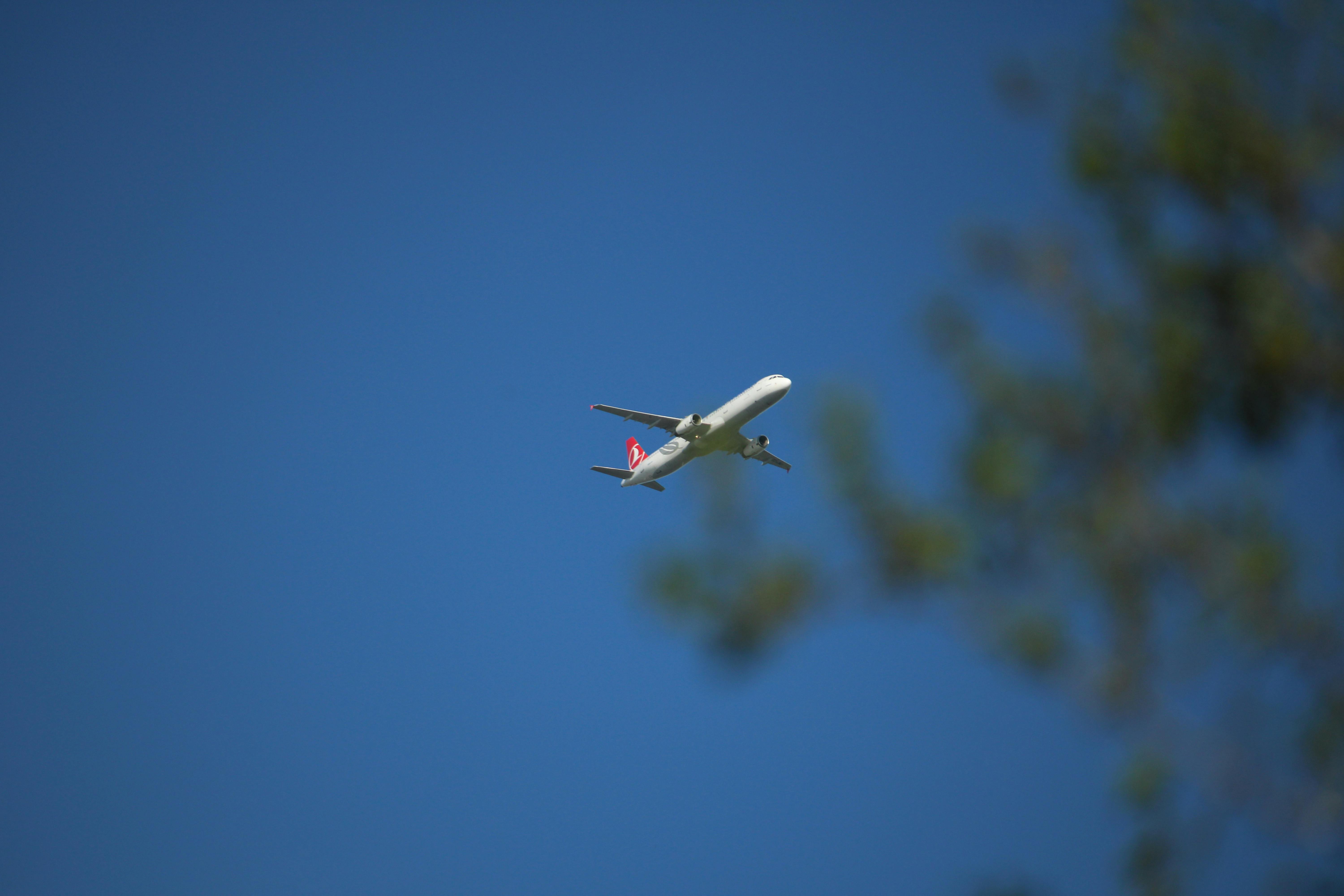 6 Best Ways To Use 100,000 American Airlines Miles For Maximum Value — Photo by damien sanchez on Pexels