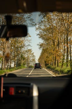 View from a car interior driving along a sunny autumn road lined with trees.