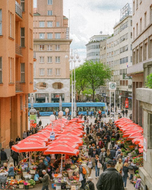 Ingyenes stockfotó emberek, Európa, utazási fotózás témában