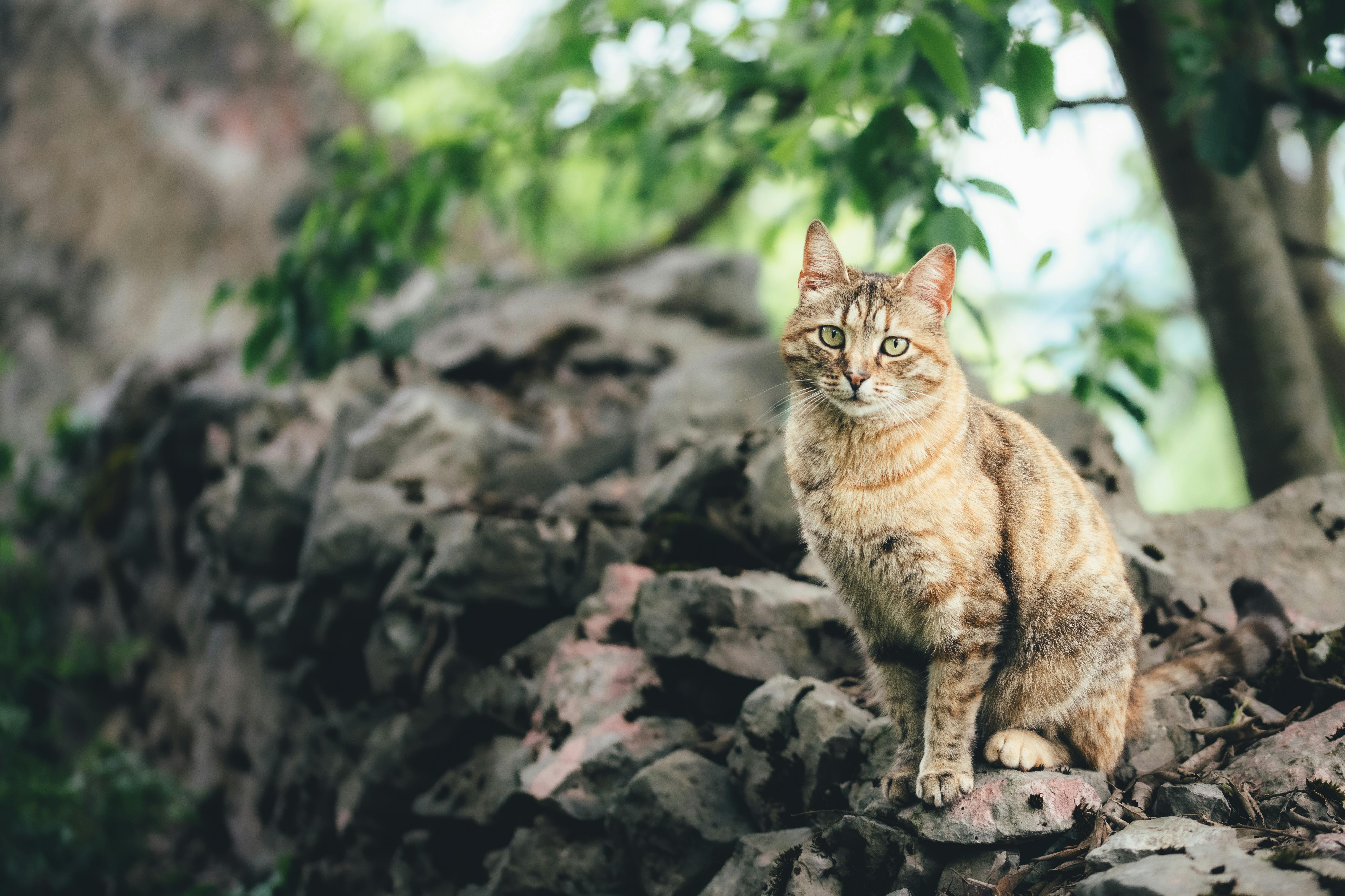 Danilovgrad, Montenegro - travel photo