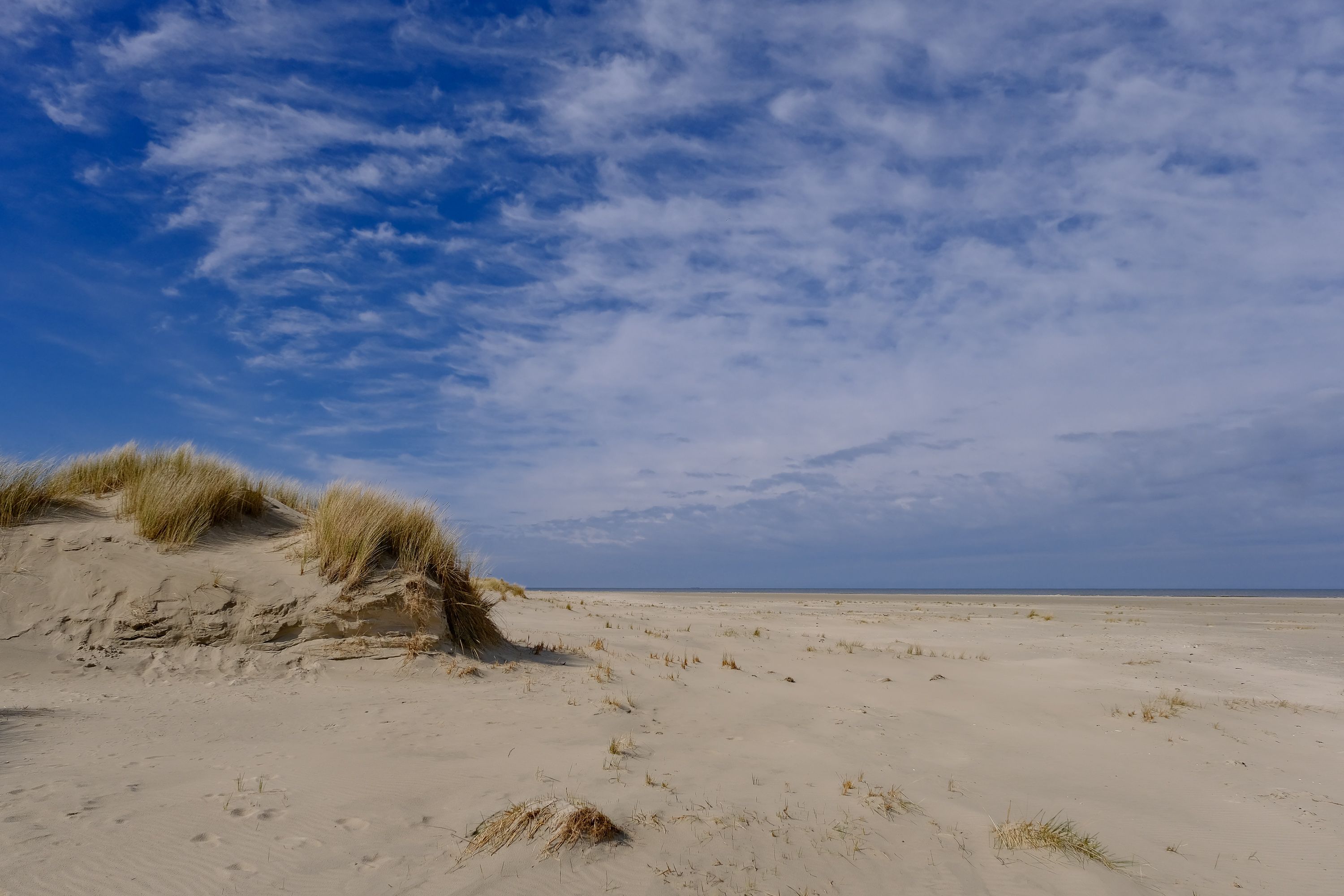 Sandy Beach Under White Clouds in Blue Sky · Free Stock Photo