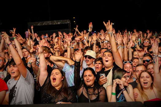 Lively audience with raised arms and cheerful expressions at an outdoor music concert at night.