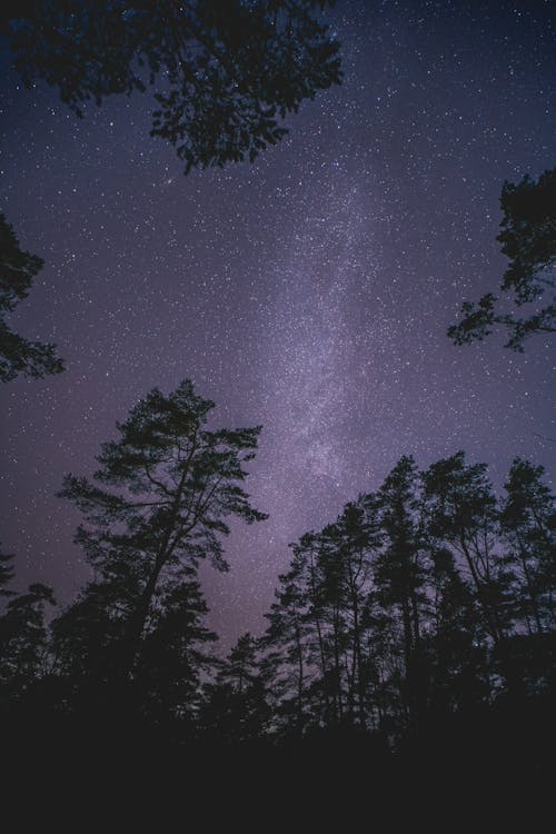 Fotobanka s bezplatnými fotkami na tému astronómia, exteriéry, galaxia