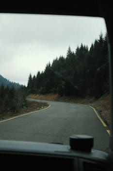 Peaceful drive on a winding road through an evergreen forest, capturing the tranquil beauty of nature.