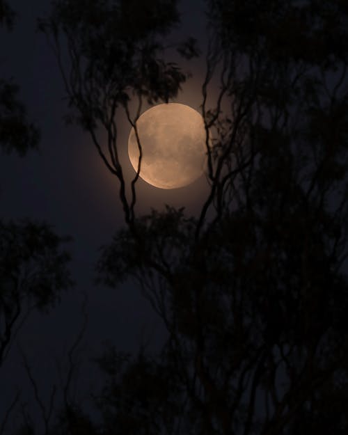 Foto stok gratis alam, bulan, bulan purnama