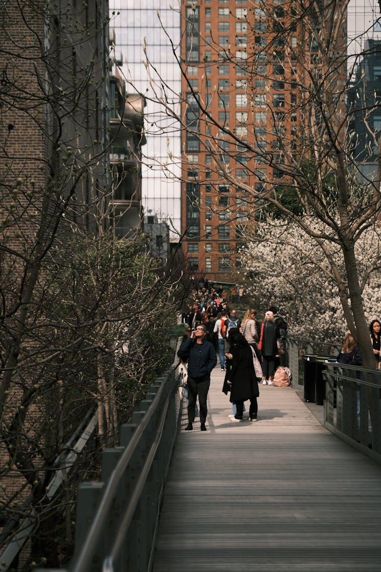 People On Boardwalk Among Buildings In New York