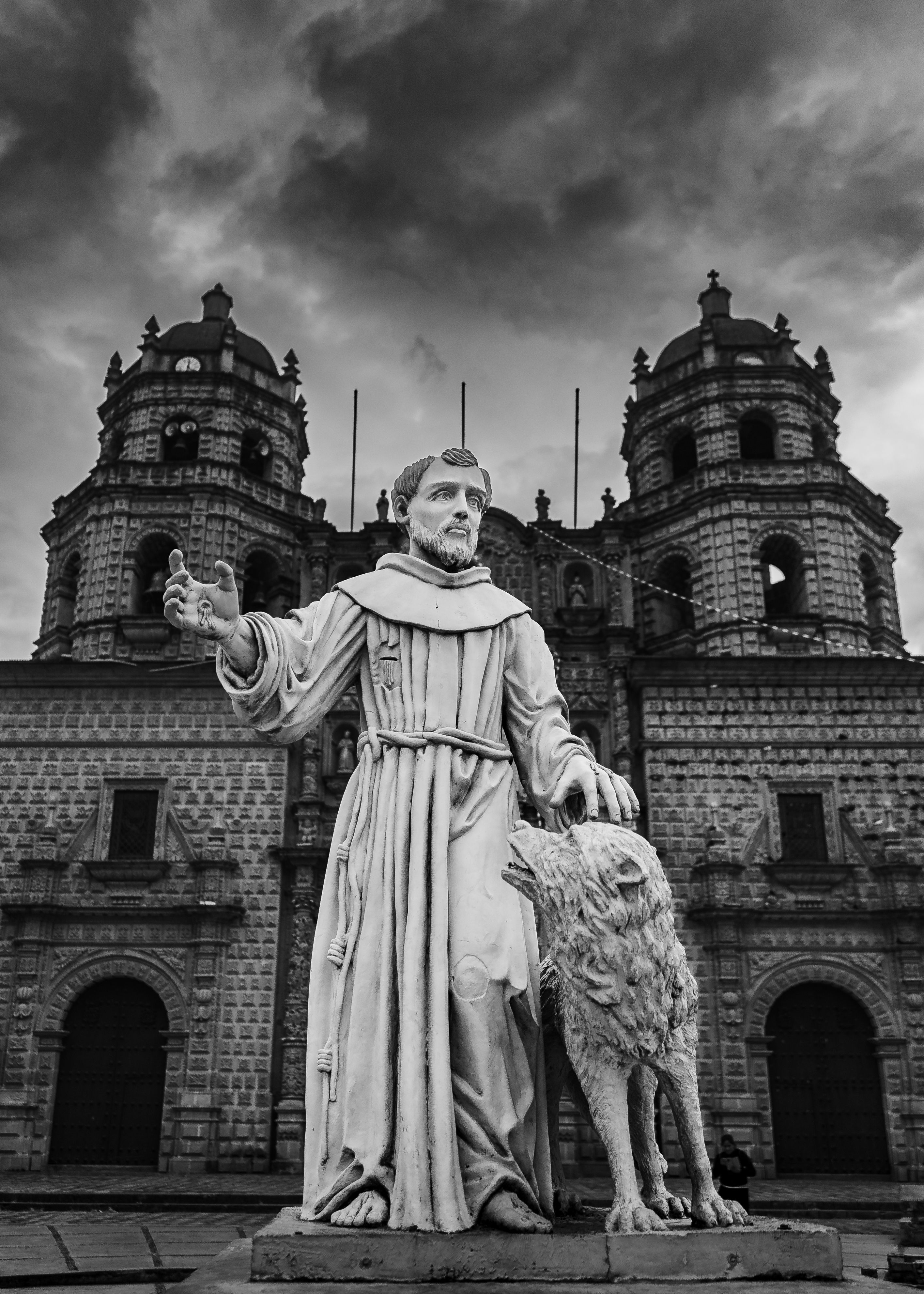 Animal Magnetism Attraction Of Spiritual Leaders Francis Story