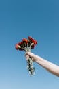 Hand Holding Bundle of Flowers under Clear Sky