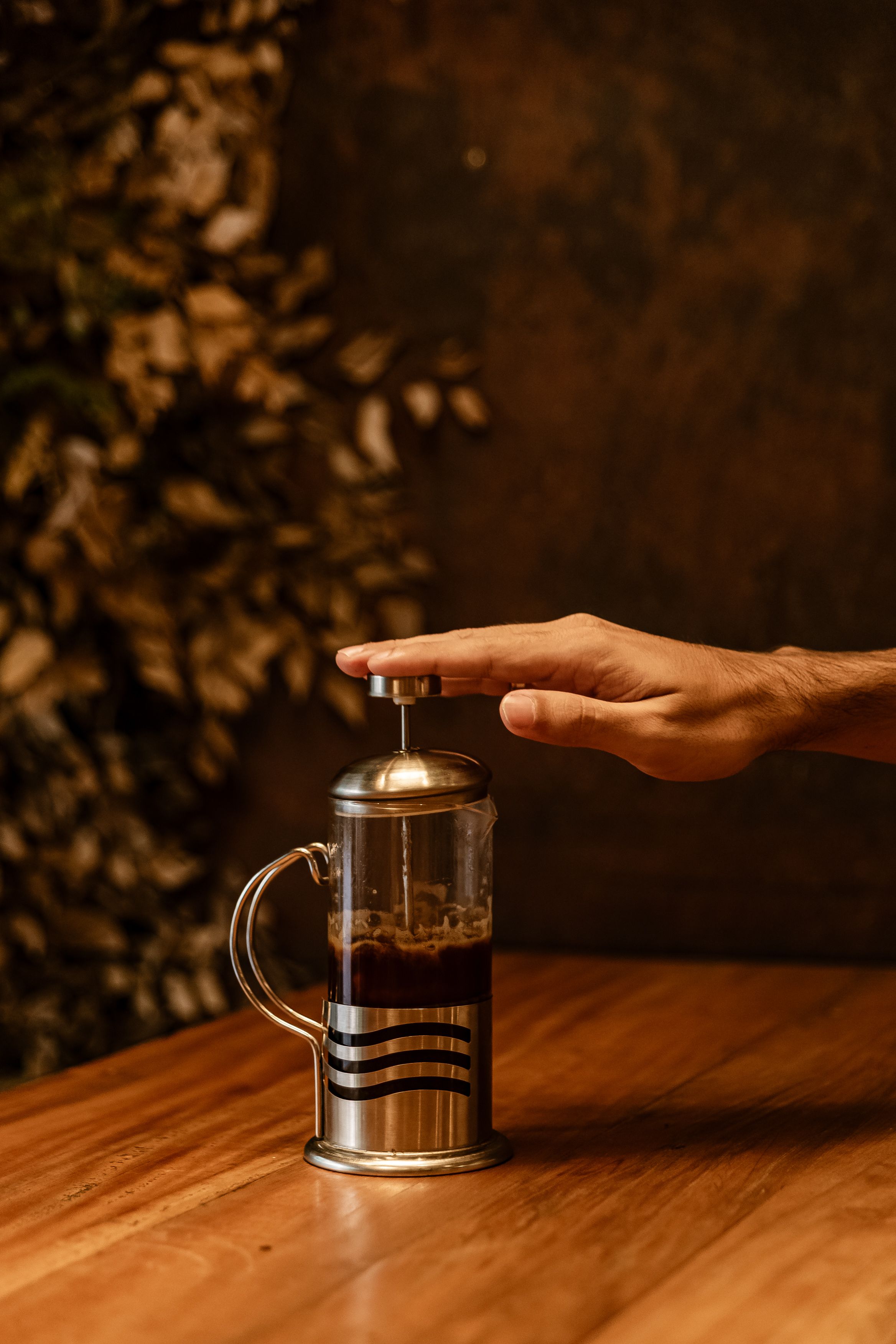 French press coffee