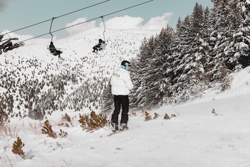 Δωρεάν στοκ φωτογραφιών με brezovica, canon, snowboard