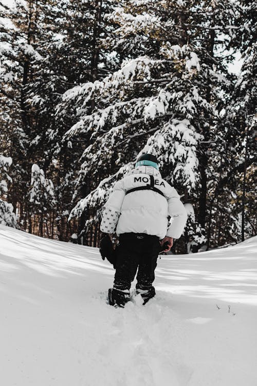 Δωρεάν στοκ φωτογραφιών με brezovica, canon, snowboard