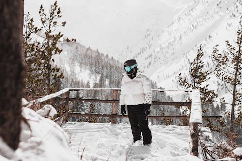 Δωρεάν στοκ φωτογραφιών με brezovica, canon, snowboard