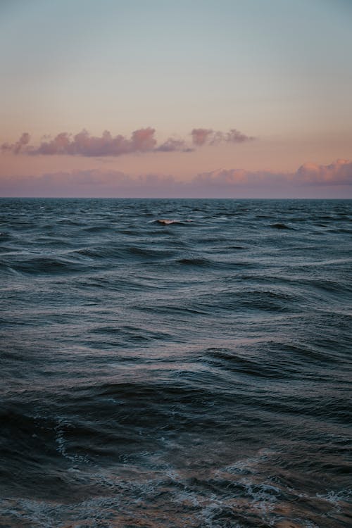 Gratis arkivbilde med bølger, hav, horisont