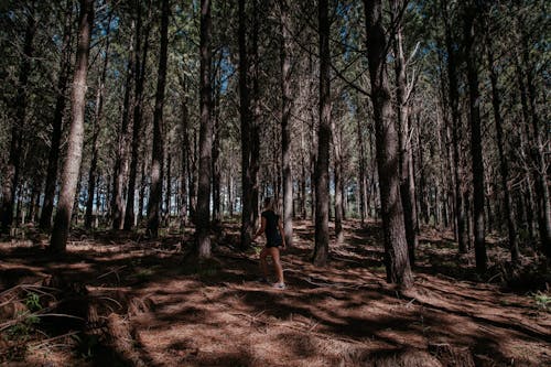 在森林上行走的女人