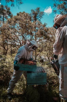 在阳光明媚的森林里，两名身着全套西装的养蜂人正在照看蜂箱，体现了自然与农业的和谐