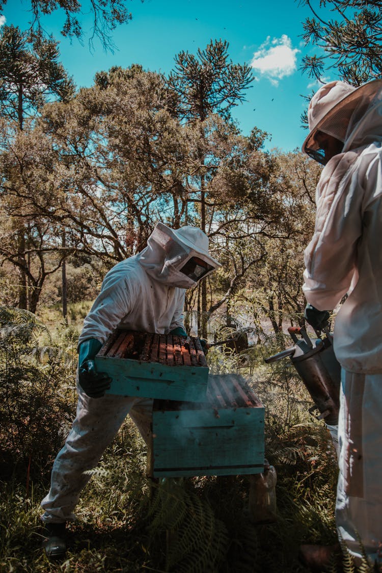 Man Holding Beehive