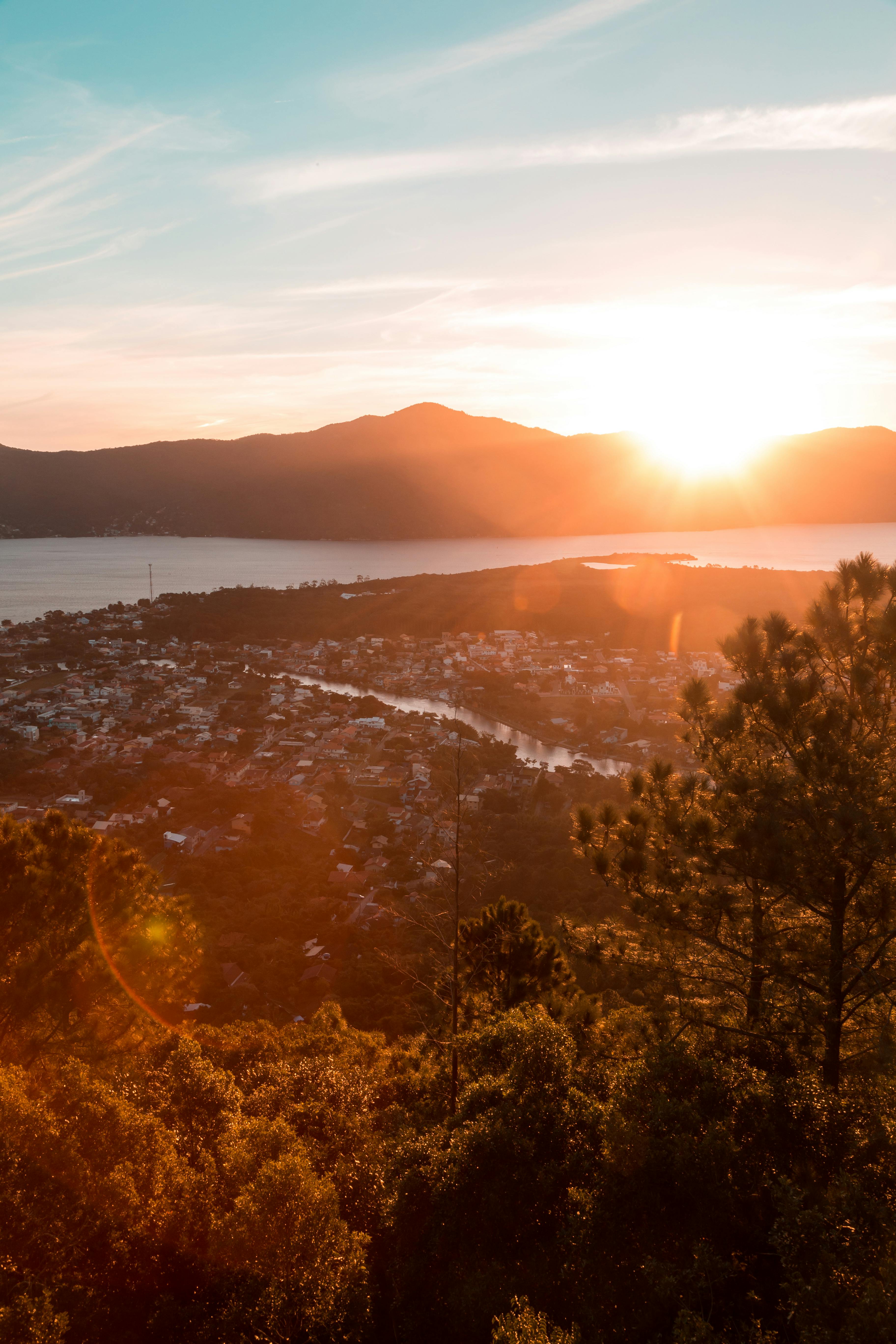 view of nature during golden hour