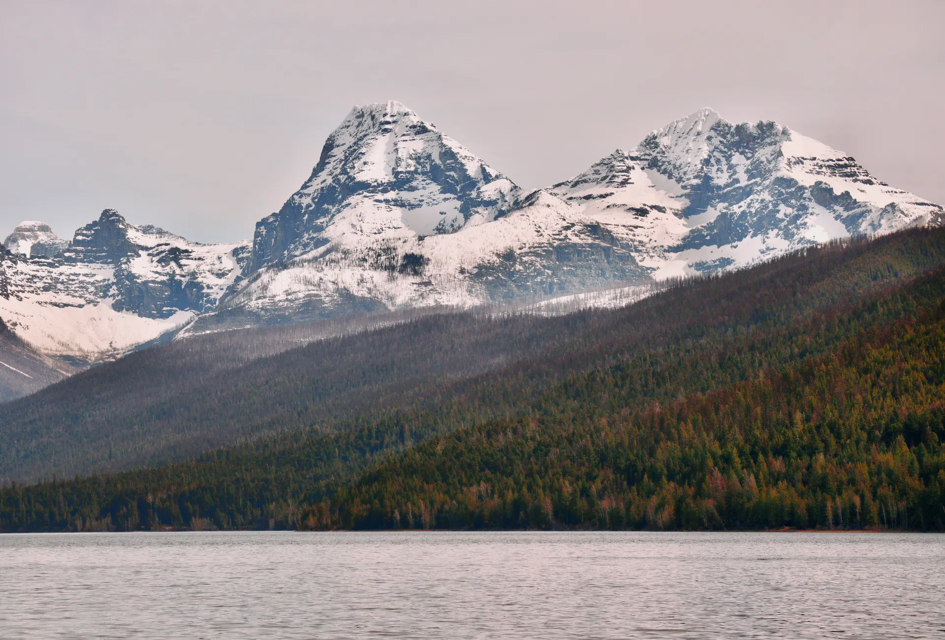 Breathtaking view of snow-capped peaks and forested mountains in Glacier National Park, USA.