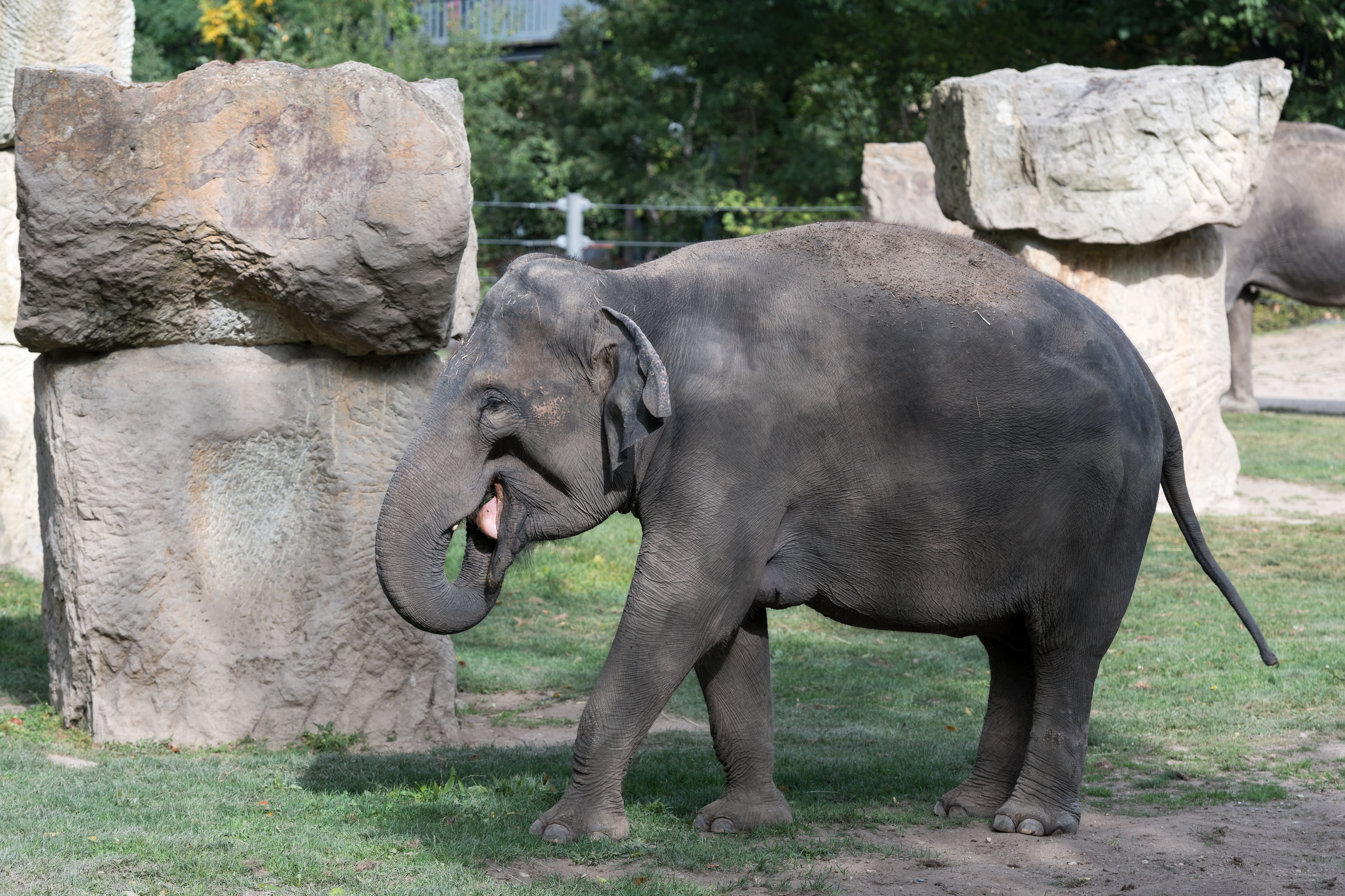 Dresden Zoo