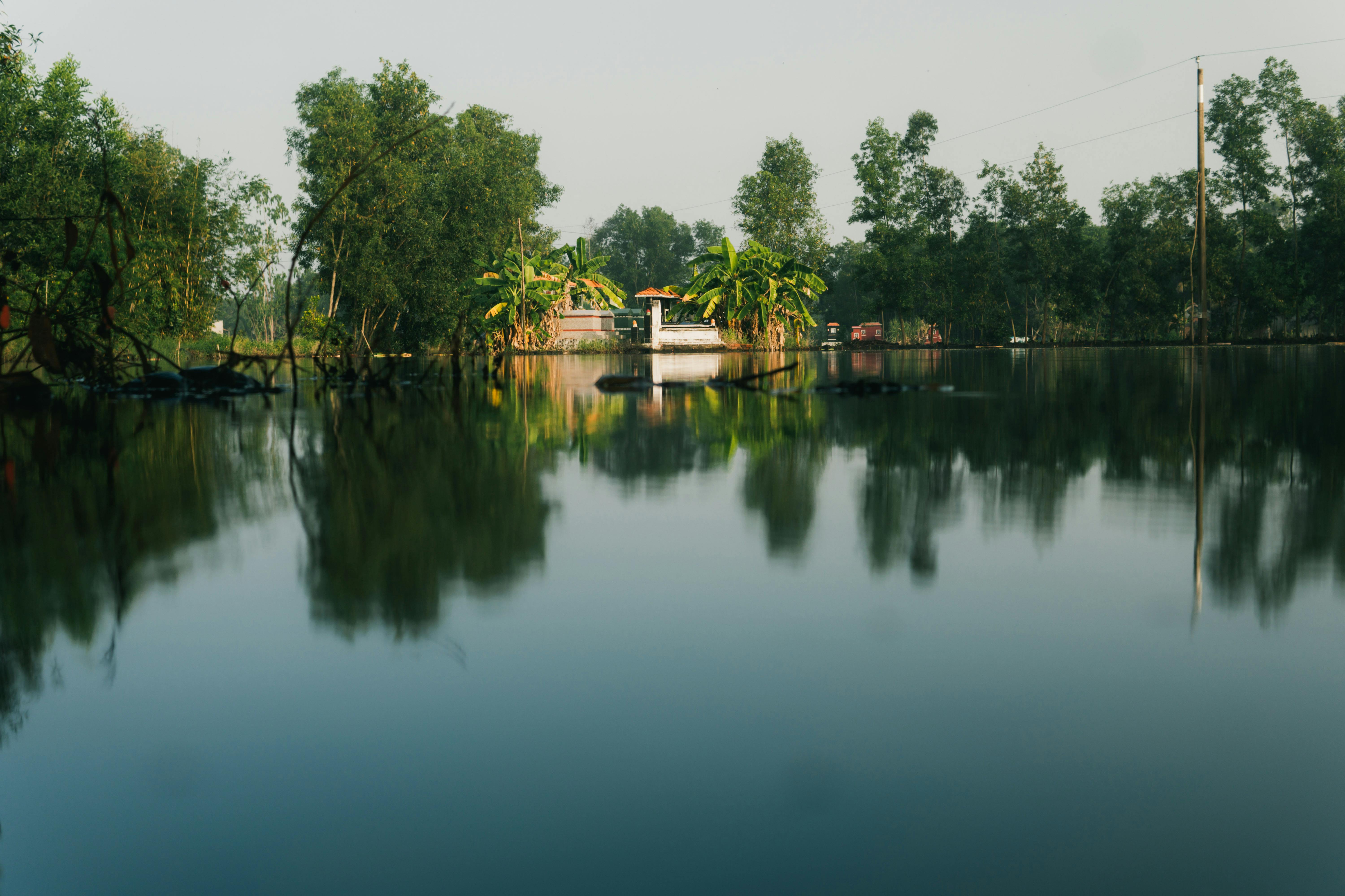 Serene landscape capturing tropical trees reflecting in a calm lake with clear skies.