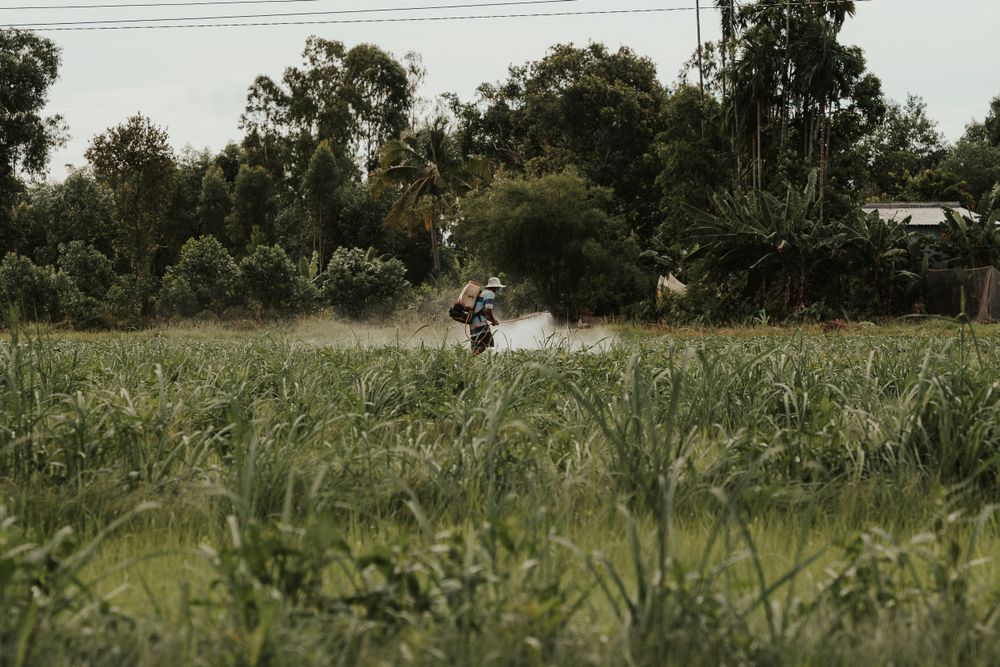 A grower spraying a green field — photo by Long Ba Mui on Pexels