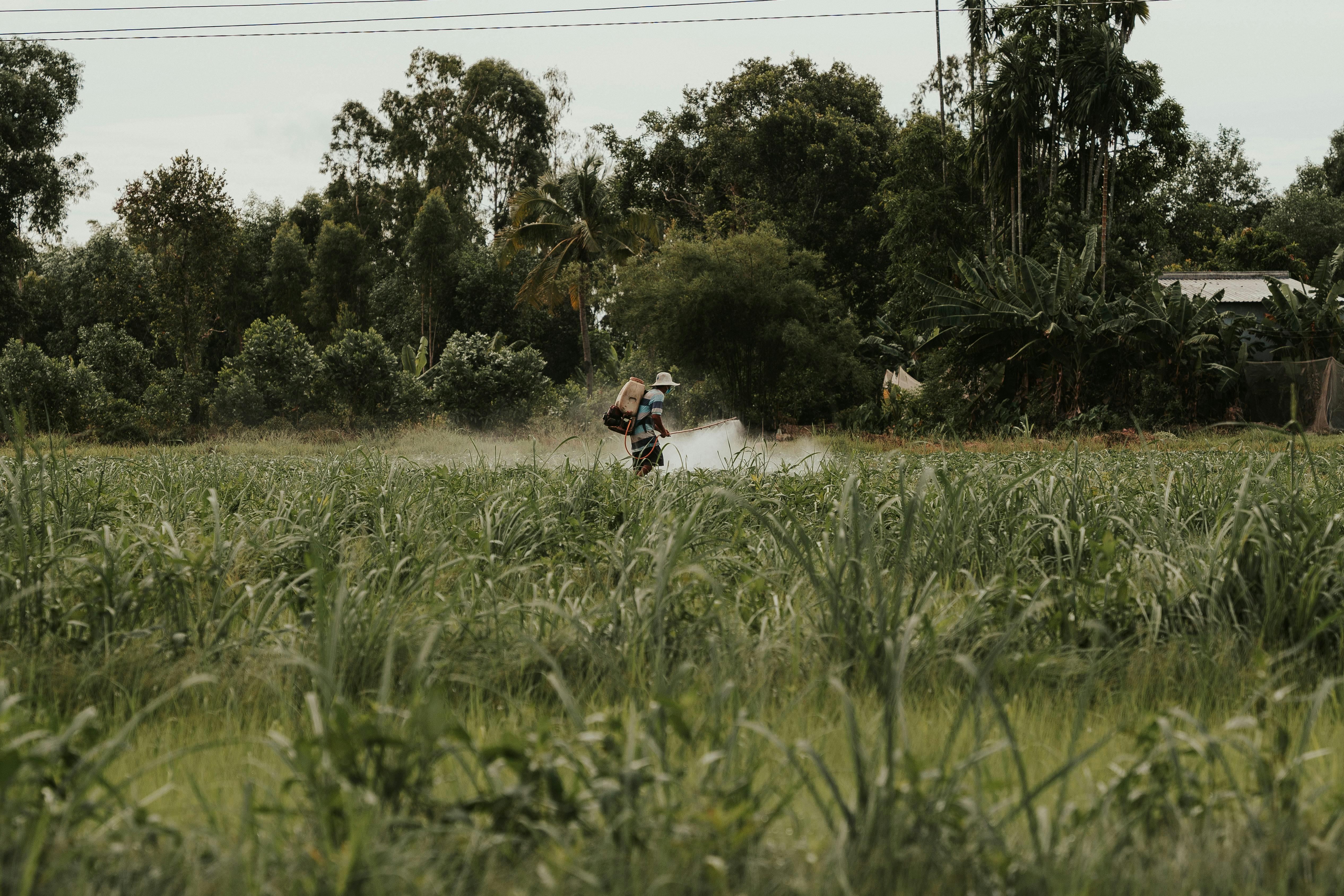 free-photo-of-agua-campo-arboles-agricultura Agroquimicos: Un peligro silencioso en México