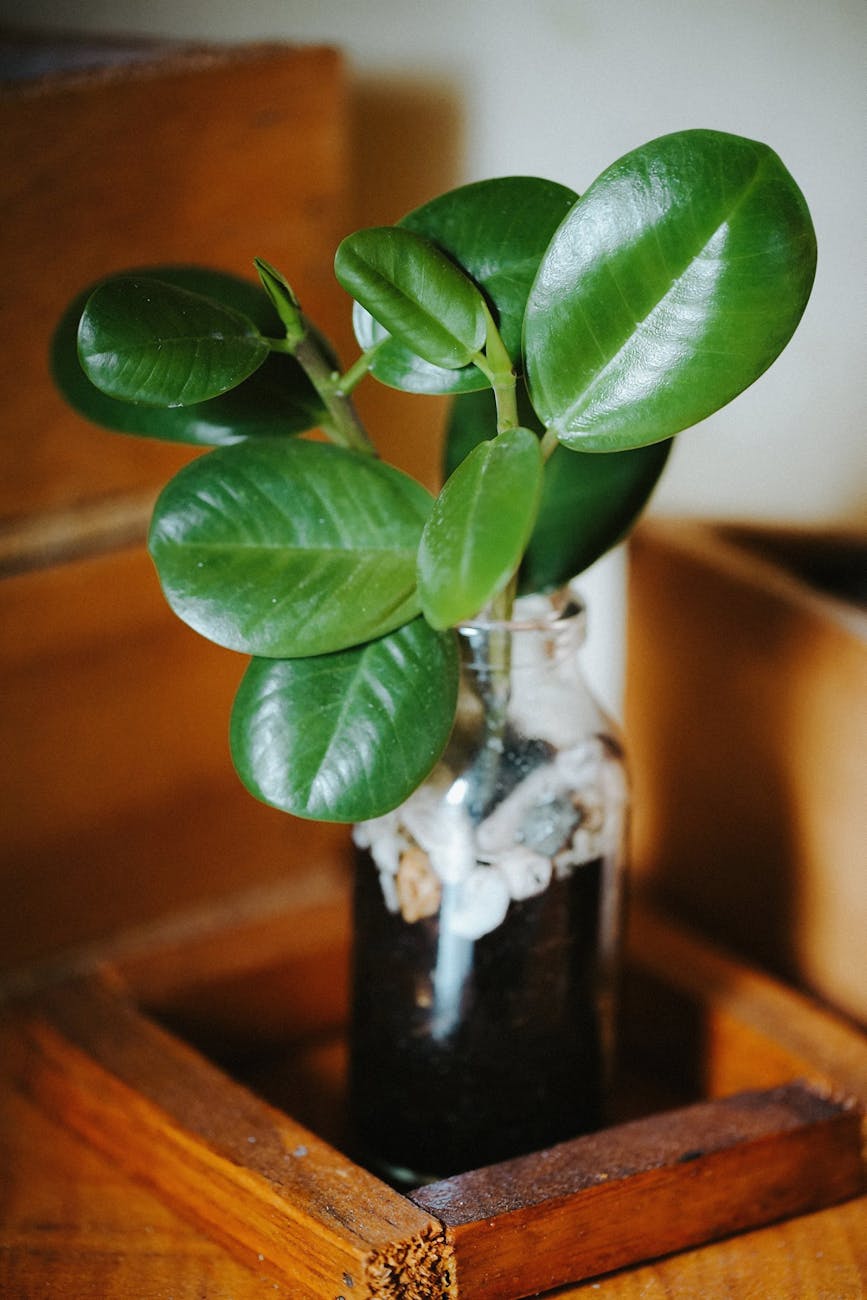 Die 10 besten Dekotabletts für kleine Räume 2026: Test & Vergleich