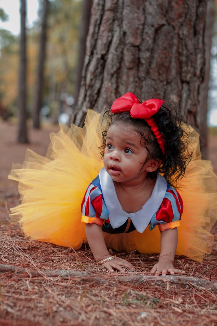 Photo Of Baby Girl In Tutu Dress Crawling Near Tree